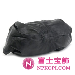 ロエベ　ショルダーバッグ　ナッパ　アイレ　ＮＡＰＡ　ＡＩＲＥ LOEWE 309 82 1022